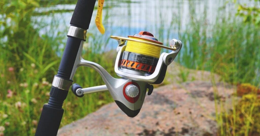 5 Things To Look For In A Spinning Reel
